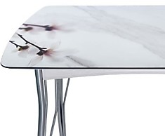Магнолия-2 на мраморе стол для кухни